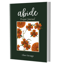 Load image into Gallery viewer, Abide Prayer Journal Paperback