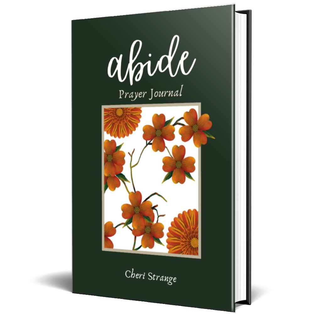 Abide Prayer Journal Hardback – The Stirring Faith Company