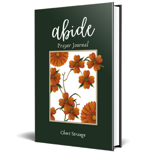 Abide Prayer Journal Hardback