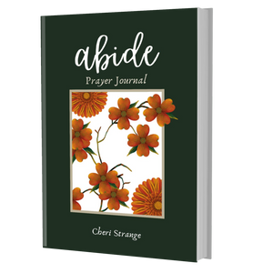 Abide Prayer Journal Paperback